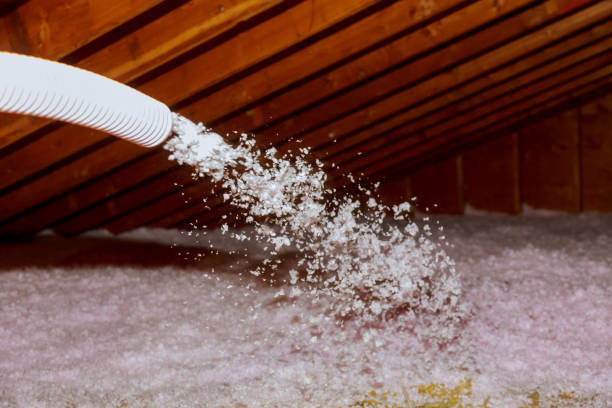Best Local Insulation Services  in Belwood, NC