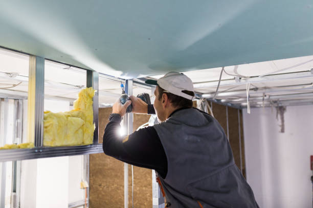 Best Insulation Installation Cost  in Belwood, NC