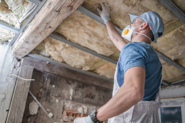 Best Insulation Removal Services  in Belwood, NC